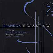 BRANDON FIELDS - Fields & Strings cover 