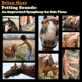 BRIAN HAAS - Petting Sounds cover 