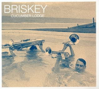 BRISKEY - Cucumber Lodge cover 