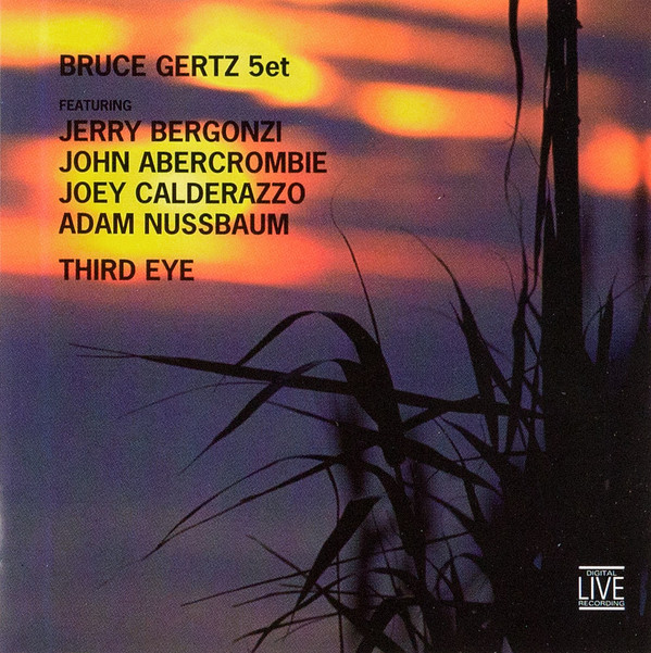BRUCE GERTZ - Bruce Gertz 5et : Third Eye cover 
