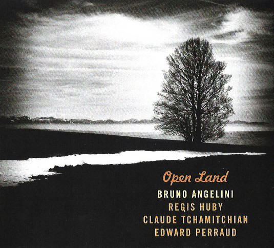 BRUNO ANGELINI - Open Land cover 