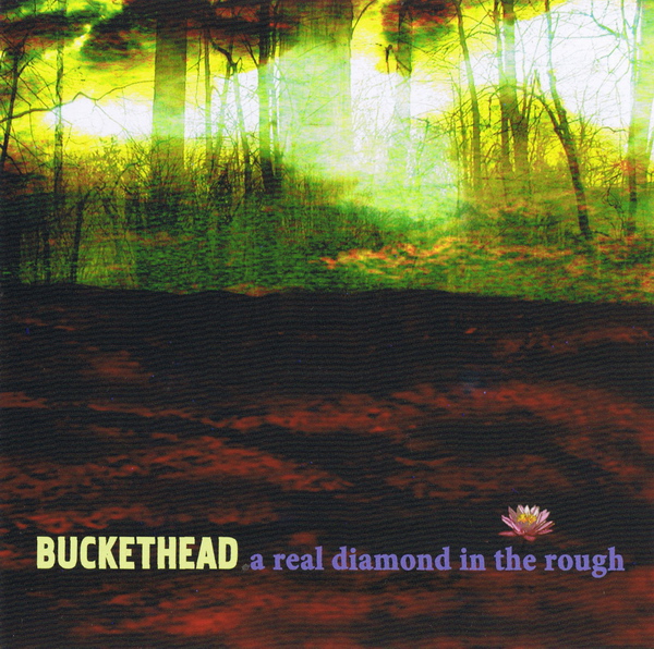 BUCKETHEAD - A Real Diamond In The Rough cover 
