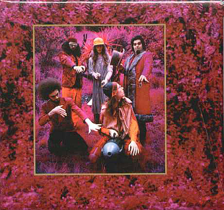 CAPTAIN BEEFHEART - Grow Fins: Rarities (1965-1982) cover 