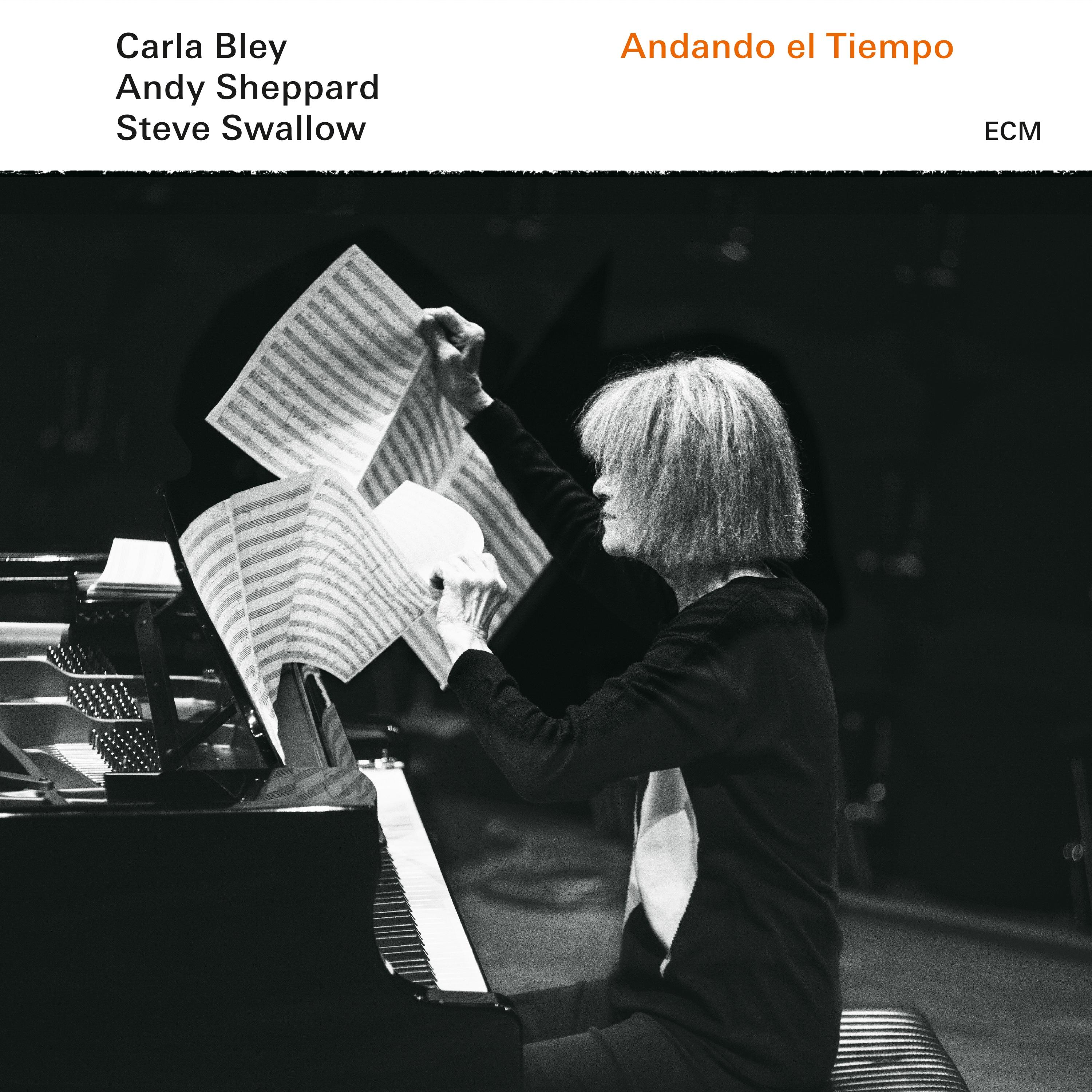 CARLA BLEY - Carla Bley/Andy Sheppard/Steve Swallow : Andando el Tiempo cover 