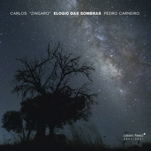 CARLOS ZINGARO - Carlos Zingaro & Pedro Carneiro : Elogio Das Sombras cover 