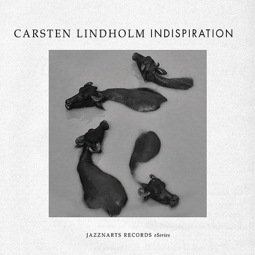 CARSTEN LINDHOLM - Indispiration cover 