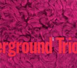 CHICAGO UNDERGROUND DUO / TRIO /  QUARTET - CHICAGO / LONDON UNDERGROUND - Chicago Underground Trio ‎: Slon cover 