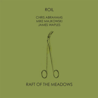 CHRIS ABRAHAMS - Raft of the Meadows cover 