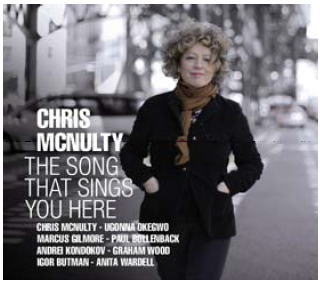 CHRIS MCNULTY - Song That Sings You Here cover 