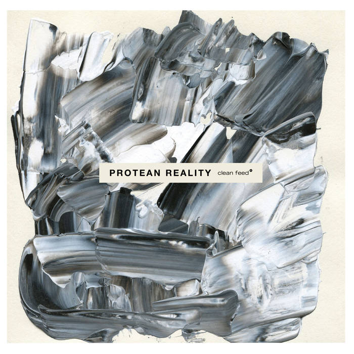 CHRIS PITSIOKOS - Chris Pitsiokos / Noah Punkt / Phiipp Scholz : Protean Reality cover 