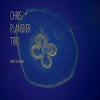 CHRIS PLANSKER - Inside the Bubble cover 