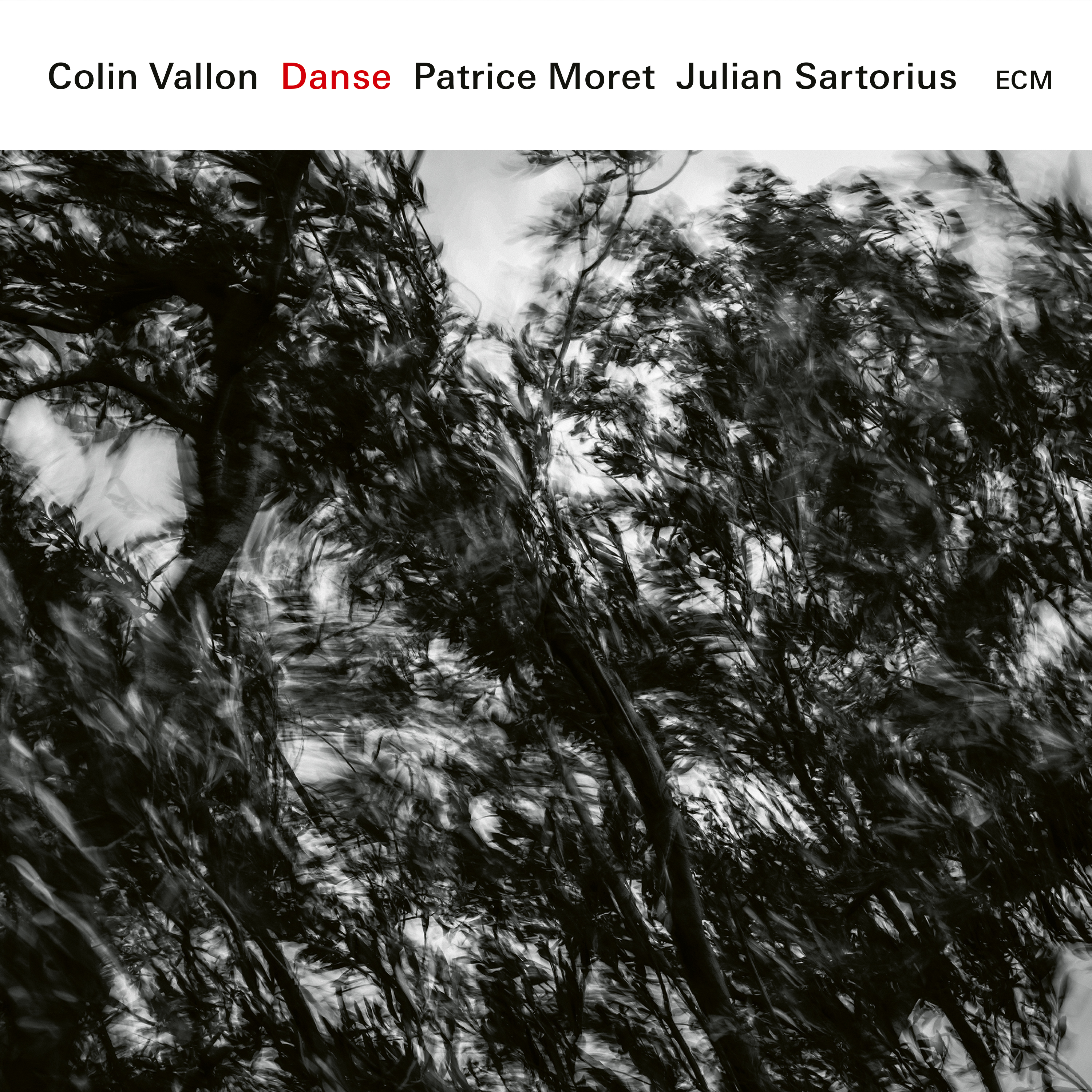 COLIN VALLON TRIO - Danse cover 
