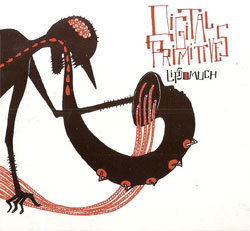 COOPER-MOORE - Digital Primitives : Lipsomuch & Soul Searchin' cover 