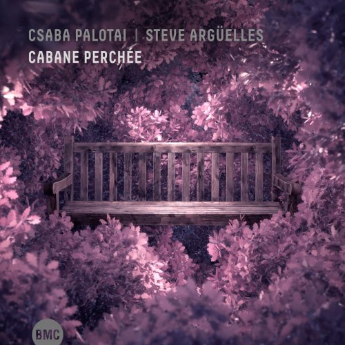 CSABA PALOTAI - Csaba Palotaï & Steve Argüelles : Cabane Perchée cover 