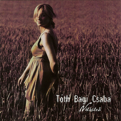 CSABA TÓTH BAGI - Nélküled (Without You) cover 
