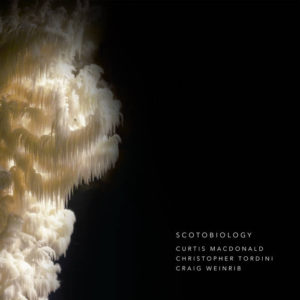 CURTIS MACDONALD - Scotobiology cover 
