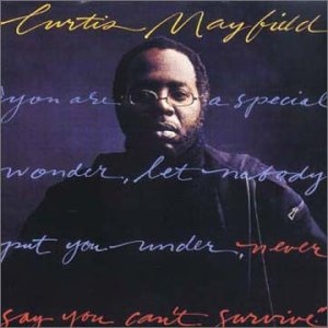 CURTIS MAYFIELD - Never Say You Can't Survive cover 