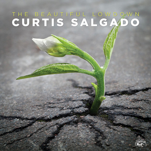 CURTIS SALGADO - The Beautiful Lowdown cover 