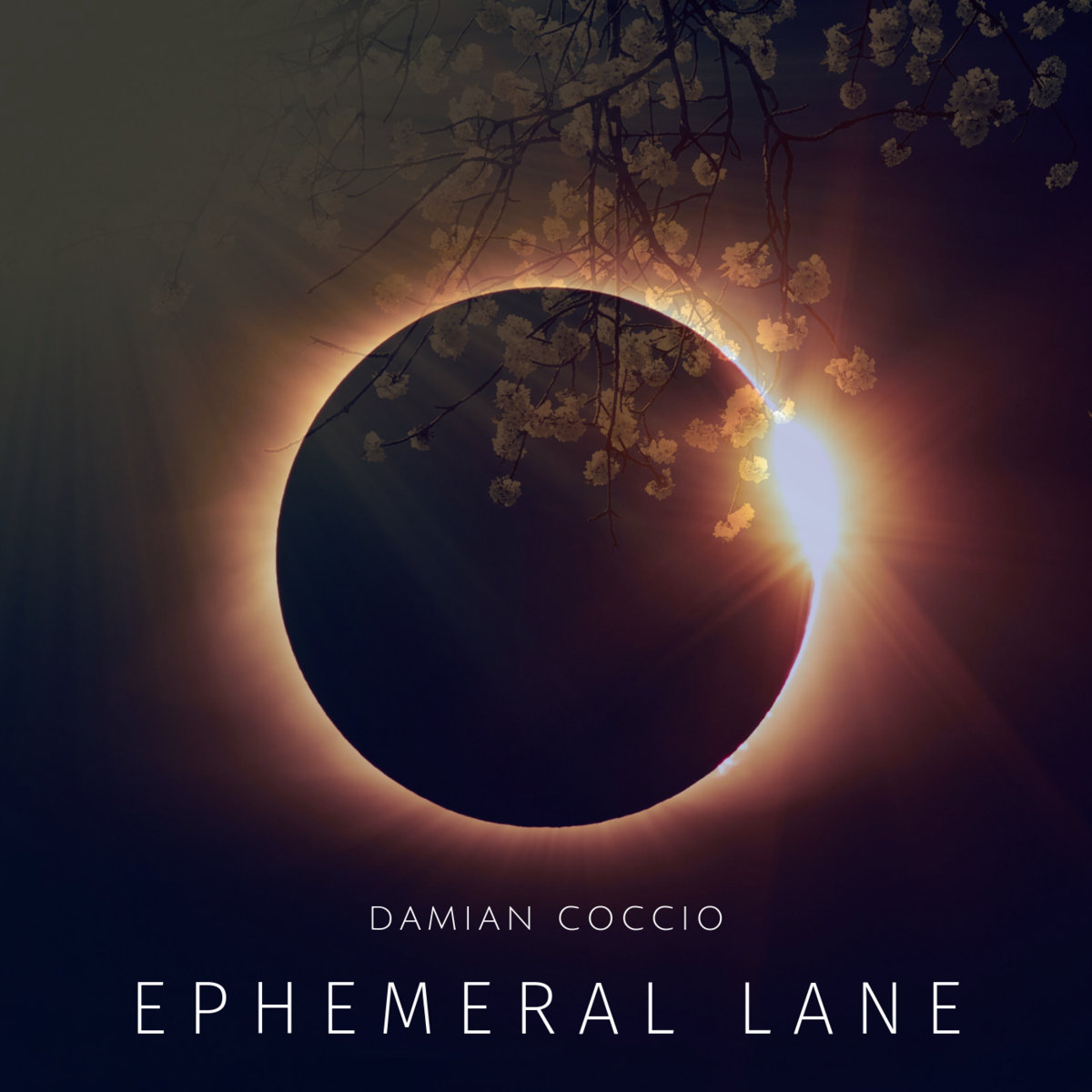 DAMIAN COCCIO - Ephemental Lane cover 