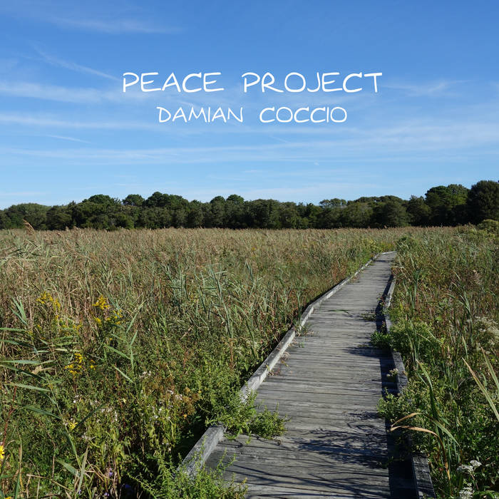 DAMIAN COCCIO - Peace Project cover 