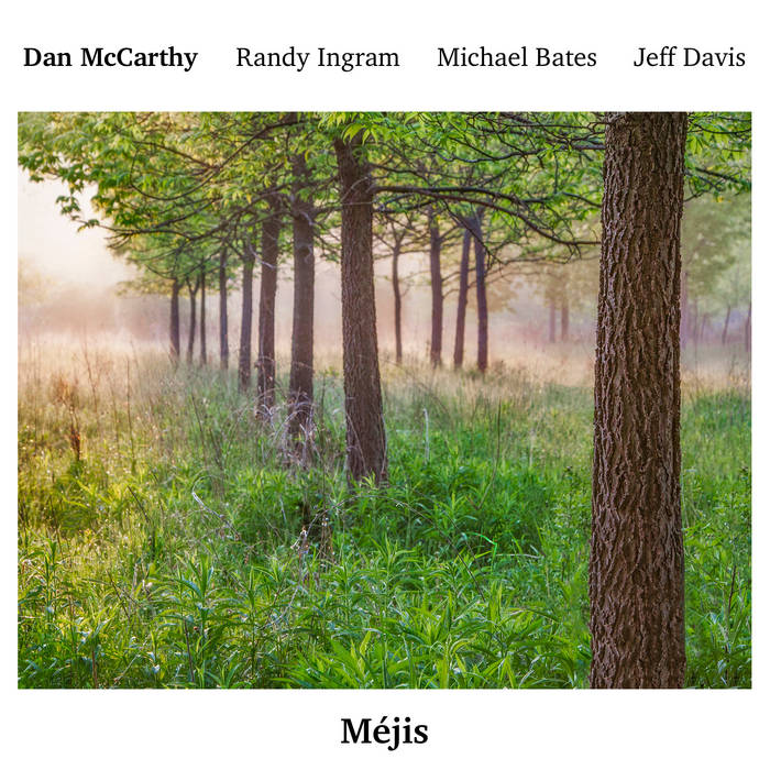 DAN MCCARTHY - Méjis cover 