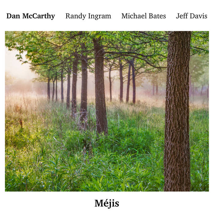 DAN MCCARTHY - Mjis cover 