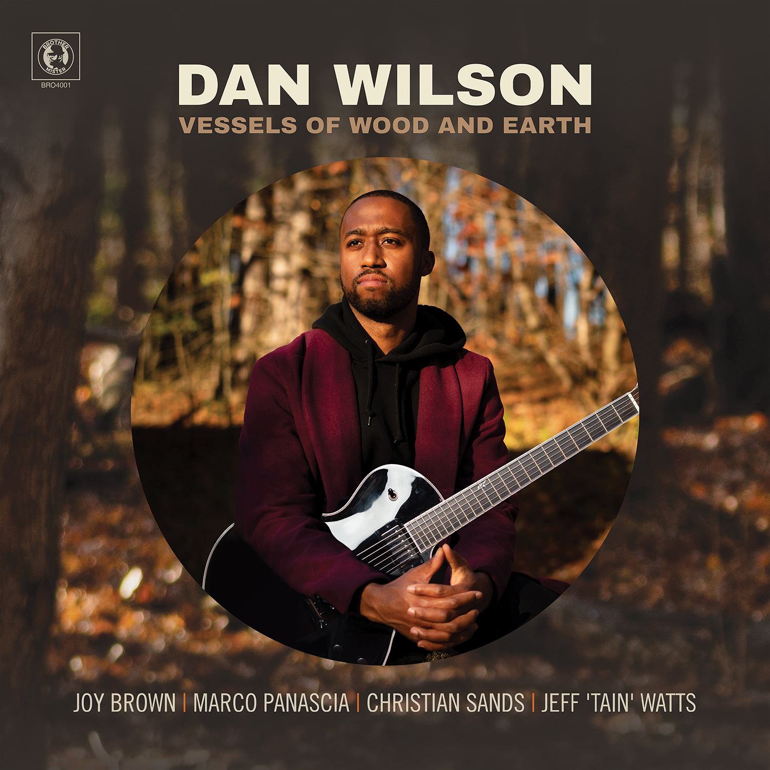 DAN WILSON - Vessels of Wood and Earth cover 