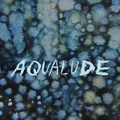 DANA LYN - Aqualude cover 