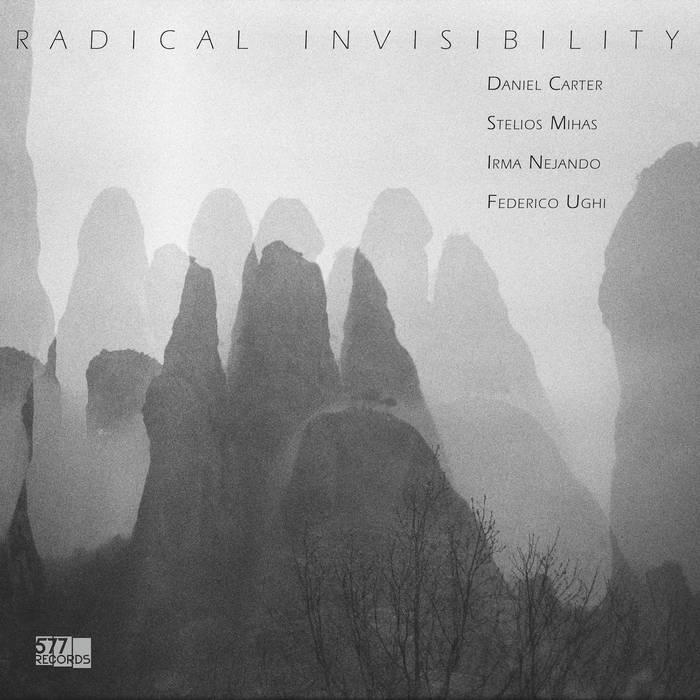 DANIEL CARTER - Daniel Carter, Stelios Mihas, Irma Nejando, Federico Ughi : Radical Invisibility cover 
