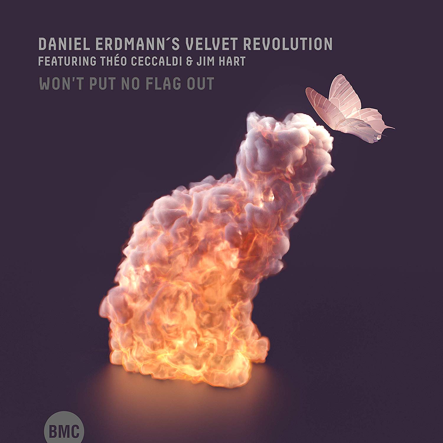 DANIEL ERDMANN - Daniel Erdmann's Velvet Revolution : Won't Put No Flag Out cover 