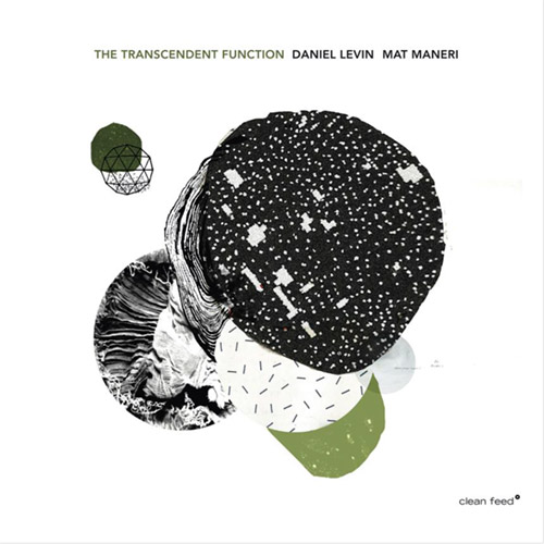 DANIEL LEVIN - Daniel Levin / Mat Maneri : The Transcendent Function cover 