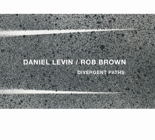 DANIEL LEVIN - Daniel Levin / Rob Brown : Divergent Paths cover 