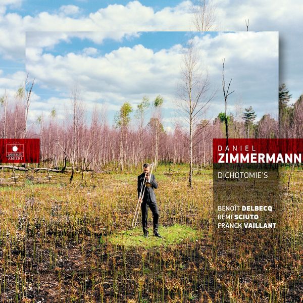 DANIEL ZIMMERMANN - Dichotomie's cover 