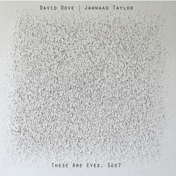 DAVE DOVE - David Dove/ Jawwaad Taylor : These Are Eyes, See? cover 