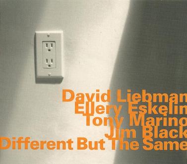 DAVE LIEBMAN - Different But The Same cover 