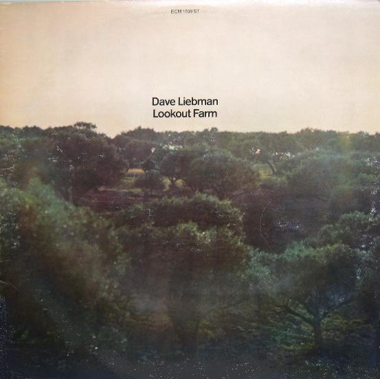 DAVE LIEBMAN - Lookout Farm cover 
