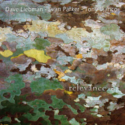DAVE LIEBMAN - Relevance cover 