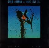 DAVE LIEBMAN - The Energy Of The Chance cover 