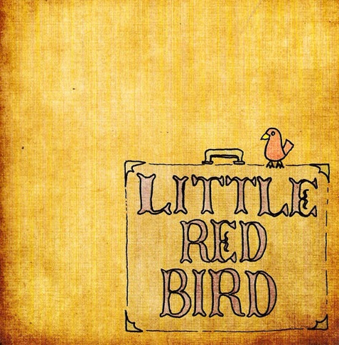 DAVE MATTHEWS BAND - Little Red Bird cover 