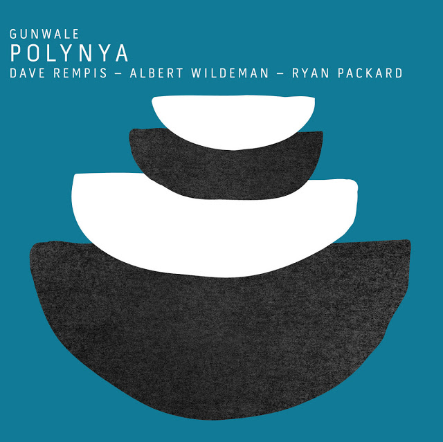 DAVE REMPIS - Gunwale : Polynya cover 