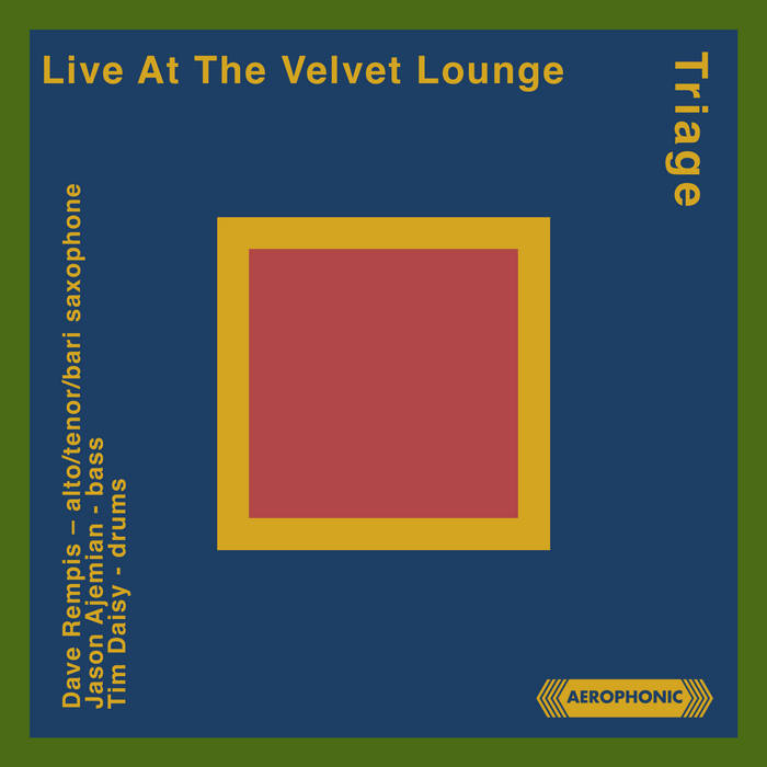 DAVE REMPIS - Triage :  Live At The Velvet Lounge cover 