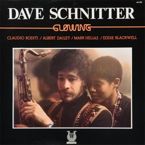 DAVE SCHNITTER - Glowing cover 