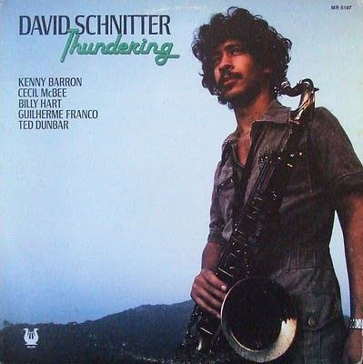 DAVE SCHNITTER - Thundering cover 
