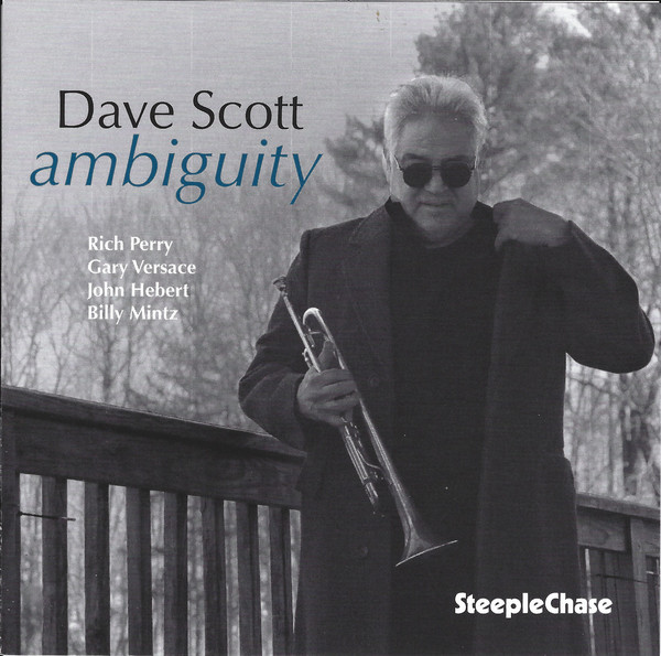 DAVE SCOTT - Ambiguity cover 