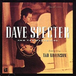 DAVE SPECTER - Blueplicity cover 