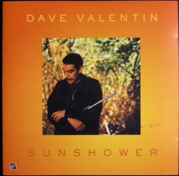 DAVE VALENTIN - Sunshower cover 