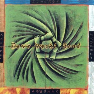 DAVE WECKL - Synergy cover 