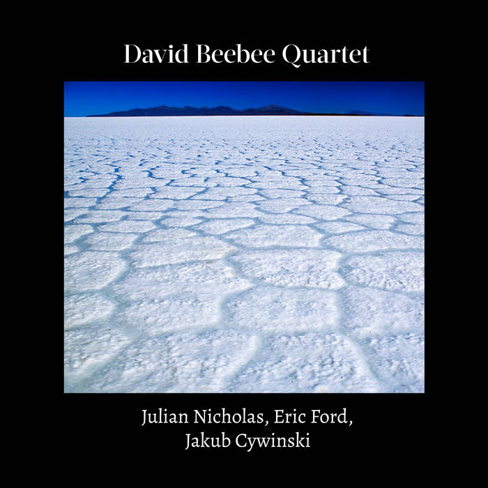 DAVID BEEBEE - David Beebee Quartet cover 