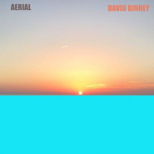 DAVID BINNEY - Aerial cover 