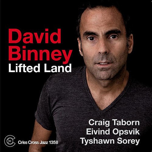 DAVID BINNEY - Lifted Land cover 